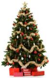 <p><span style="font-size: small;">The Artificial Christmas Tree&nbsp;is making a comeback with new more realistic looking trees available in a range of&nbsp;colours including Black and Silver as well as the realistic green. Coupled with the increased cost of a&nbsp;real Christmas trees,&nbsp;now is the time to purchase a&nbsp;realistic artificial tree. <br /><br />The cost of an artificial tree&nbsp;is usually only 3 times that of a&nbsp;real Christmas tree. Where as a real tree will last 2 or 3 weeks the artifical tree&nbsp;will last for many years therfore making the&nbsp;artificial Christmas tree a long term cost effective purchase.<br /><br /></span><span style="font-size: small;">All trees are available for nationwide delivery.<br /><br /></span></p>